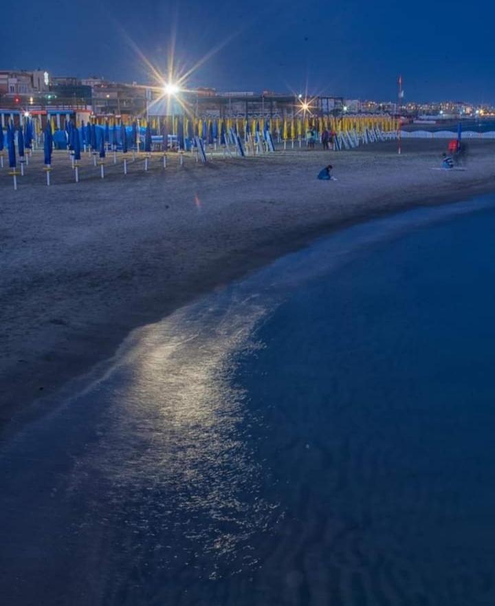 Rome Sea Apartment Лидо ди Остия Екстериор снимка